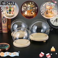 CACTU Glass cloche Home Decor Terrarium Tabletop Spherical Glass Vase Jar Transparent Bottle Flower Storage box
