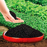 Baja Kopi Baja Gemuk Untuk Daun Organic Fertilizer Baja Buah 555 Baja Subur Tanaman 1Kg