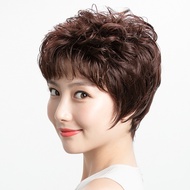 ฟรีตาข่ายคลุมผม วิกผมสั้น Short wig ผมปลอม วิกผมหน้าม้า วิกผมสั้นลอน สำหรับวัยกลางคนและผู้สูงอายุ วิ