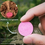 Special offers 22Pcs Gardening Universal Slow-Release Tablet Organic Fertilizer Plant Flowers Nitrogen Phosphorus Potassium Slow Release Agent