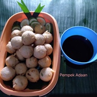 Ramadhan Gokil Pempek Palembang/ Empek-Empek Asli Ikan Tenggiri/Dijual