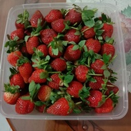 Buah Strawberry Fresh ( 1Kg ) /Strobery Fresh 1 Kg [Terlaris]