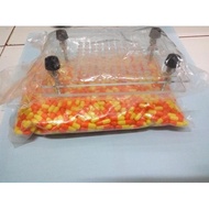 Color Capsule Shell Package No. 2 + Capsule Container @100 Holes