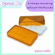 Dentex bonding Tray With Light-Proof Cover For Dentistry 1 Piece