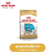 Royal Canin Chihuahua Puppy โรยัล คานิน อาหารเม็ดลูกสุนัข พันธุ์ชิวาวา อายุต่ำกว่า 8 เดือน (กดเลือกขนาดได้ Dry Dog Food)