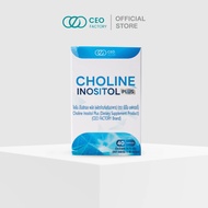 Choline Inositol Plus โคลีน อิโนซิทอล พลัส (CEO Factory nd) Choline Bitartrate Inositol Vitamin B1 V