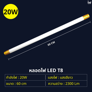 หลอดไฟLED T8 หลอดไฟสั้น9W 20W หลอดไฟยาว18W 40W หลอดนีออนแอลอีดี ขั้วสีขาว ขั้วสีทอง แสงสีขาว ไฟเข้า2