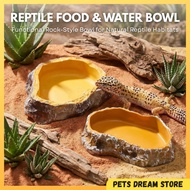 Barbarous Reptile Feeding Dish Reptile Water Dish Leopard gecko food bowl rock design feeding bowl f