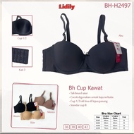 LIDILY 2497 Bra with Foam Underwire | Size 36D-42D | LIDILY Bra - CupBIG