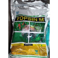 500GM Topsin M Ancom Thiophanate Methyl 70.0% Racun Kulat Fungicide Preventive