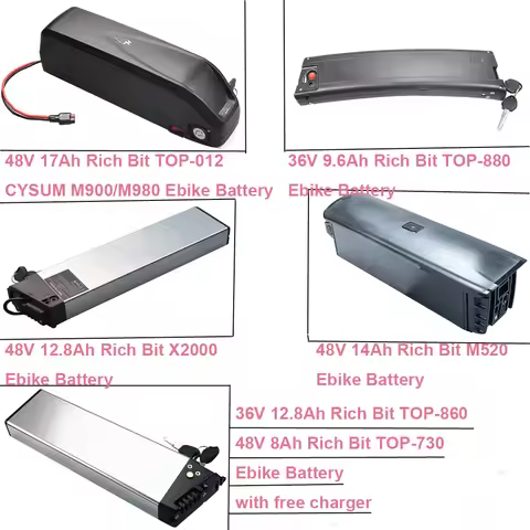 Rich Bit E-Bike Battery 48V 12.8Ah 14Ah 17Ah 36V 9.6Ah 10.2Ah 12.8Ah TOP-012 TOP-730 TOP-860 TOP-880