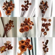 Dried Flowers Real Flowers Flower Arrangements Natural Decorations Desktop Decorations Pine Cones Lo