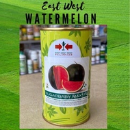 East West SUGAR BABY MA Watermelon Canned Seeds Buy one get one free 50 seeds (not plants)