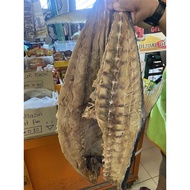 (HARGA BORONG) Seekor 1KG Ikan Talang Masin Tanjung Dawai Gred A (SIAP POTONG)