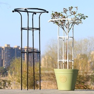 H-Y/ Gardening Green Plant Stand Outdoor Single Ring Umbrella-Shaped Rose Lattice Chinese Rose Clematis Climbing Vine Mu