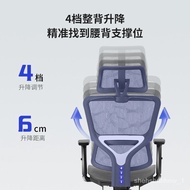 🚢Long-Sitting Ergonomic Gaming Chair Manager Office Chair Student Waist Support Study Chair Office Computer Chair Home