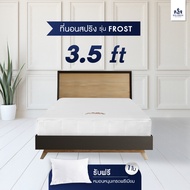 SOLOMON ที่นอนสปริง หนา8นิ้ว รุ่น Frost