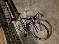 Fixed gear