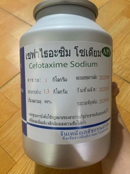 1 KG KHÁNG SINH NGUYÊN LIỆU CEFOTAXIME 98%/ LH ĐT-ZALO 0868812385 ĐỂ CÓ GIÁ TỐT