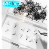 1000pcs 12D 0.05 PREMADE MEGA VOLUME RE-STOCK