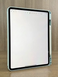 Apple iPad Pro 13吋 M4 1TB 連筆 有盒