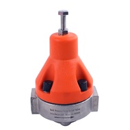 DN15 DN20 DN25 DN32 DN40 DN50 DN65 PVC/UPVC Stainless Steel Safety Relief Back Pressure Valve Pressu