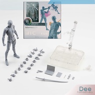 Figuart Body Kun / Chan DX Set Mannequin Action Figure Male Model