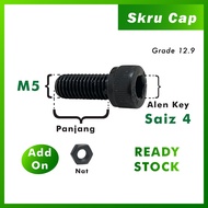 M5 HEXAGON CAP ALLEN KEY SCREW