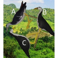 READY STOK DECOY BURUNG WAK WAK BAJET PATUNG RUAK RUAK PATUNG WAK2
