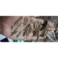 Kayu gaharu chip microcarpa