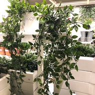 Hanging Plant Fejka Ikea Artificial Plant Hanging Plant 70cm