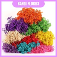 120G PRESERVED BABY BREATH Gypsophila Dried Dry Bouquet Flower Plant Living Home Decor Decoration Bu