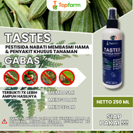 Obat Bercak Daun Gambas / Obat Hama Pada Gambas / Obat Hama Tanaman Oyong / Obat Hama Oyong / Obat K