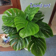 Sale - Monstera Jumbo/ Monstera Palsu / Monstera Plastik/ Monstera