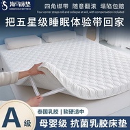 Class Tatami Mattress Student Dormitory Mattress Sponge Soft Cushion Thickened Seahorse Mattress Hou