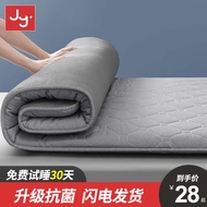 foldable mattress seahorse foldable mattress Mattress Cushion Home Dormitory Bed Mattress Student Single Rent Special Thickened Tatami Mat Floor Sleeping Mat