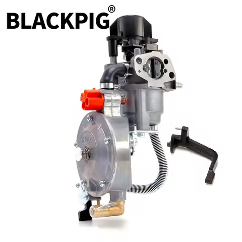 Hot Sale P19B LPG Carburetor For 168FB 170F 3HP 6.5HP Frequency Conversion Engine Carb Conversion As