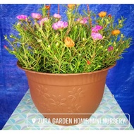 🔥Hot Sales🔥 Big Round Flower Pot 28cm Vegetable Pot - Brown Colour - Pasu Bunga Besar Bulat Indoor O