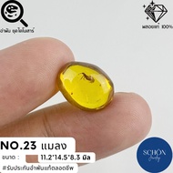 ฟอสซิล อำพันแท้ มีแมลง พม่า (Schon Jewelry ) ของแปลก ของหายาก อำพันมีแมลง AM-SEC.LZ