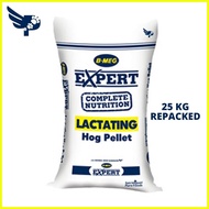 ♞,♘B-MEG Expert Complete Nutrition Lactating Hog Pellet 25KG - Pig - BMEG Feeds - petpoultryph