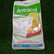 Antracol 70WP zinc ++ isi 1kg/fungisida kontak sistemik/pengendalian