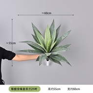 ต้นอากาเว่ ต้นไม้ปลอมแต่งบ้าน สีสด โดนแดด โดนฝนได้ ต้นไม้แต่งบ้าน แต่งสวน บ้านและสวน (ไม่มีกระถาง)(พ