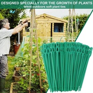 100 Pieces Adjustable Garden Plant Twist Ties, Reusable  Ties Gardening Ties, Reusable Garden Plant Twist  Easy Install