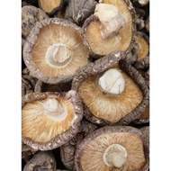 Shiitake Mushrooms 5-6CM Extra Large Extra Thick Extra Fragrant New Arrivals to 100g