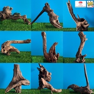 Large Driftwood upto 50cm size estimated 11-50cm Aquarium Fish Tank deco turtle reptile hamster tank