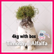 Timothy Hay / Alfalfa Hay (4kg hay +kotak) Arnab Rabbit Guinea Chinchilla Makanan Food Alfafa Rumput