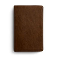 ESV Concise Study Bible: TruTone, Brown ( Bibles / ESV / Study )