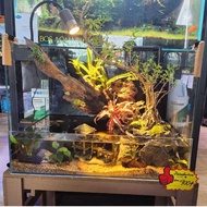 < BOS AQUARIUM > Paludarium Full Complete Set with CC Tank /Aquascape /Light /Filter
