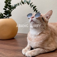 Abang Furry• Abang Gangster Pet Glasses & Necklace Pet Collar Pet Jewelry Pet accessories for Dog Ca