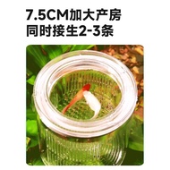 Kotak pengasingan ikan guppy akuarium, kotak pembiakan dan penetasan, ruang pembiakan ikan kecil hid